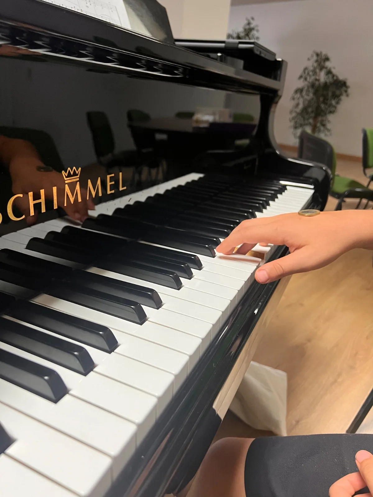 Manos sobre el teclado de un piano de cola Schimmel